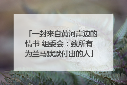 一封来自黄河岸边的情书 组委会：致所有为兰马默默付出的人