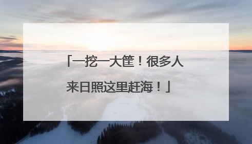 一挖一大筐！很多人来日照这里赶海！
