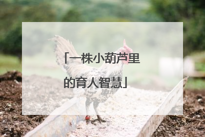 一株小葫芦里的育人智慧