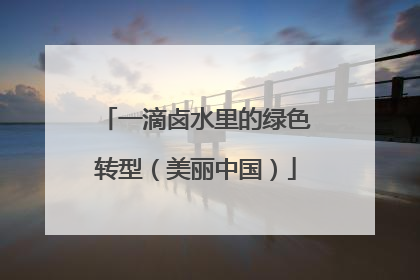 一滴卤水里的绿色转型（美丽中国）