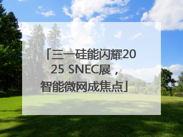 三一硅能闪耀2025 SNEC展，智能微网成焦点