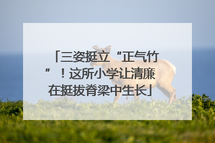 三姿挺立“正气竹”！这所小学让清廉在挺拔脊梁中生长