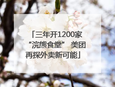 三年开1200家“浣熊食堂” 美团再探外卖新可能