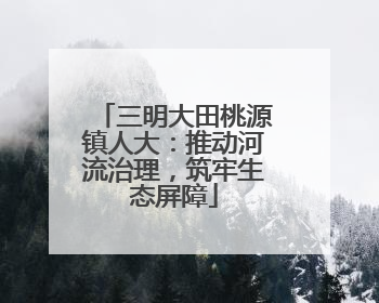 三明大田桃源镇人大：推动河流治理，筑牢生态屏障
