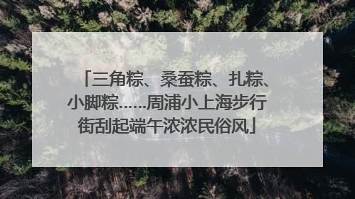 三角粽、桑蚕粽、扎粽、小脚粽……周浦小上海步行街刮起端午浓浓民俗风