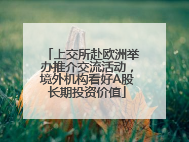 上交所赴欧洲举办推介交流活动，境外机构看好A股长期投资价值