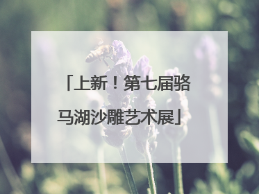 上新！第七届骆马湖沙雕艺术展