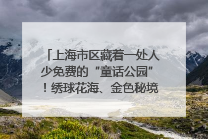 上海市区藏着一处人少免费的“童话公园”！绣球花海、金色秘境……地铁直达→