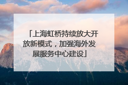 上海虹桥持续放大开放新模式，加强海外发展服务中心建设