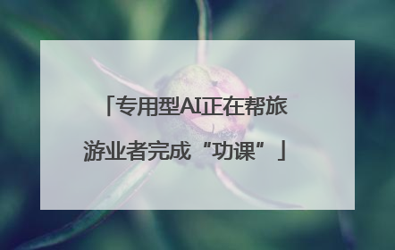 专用型AI正在帮旅游业者完成“功课”