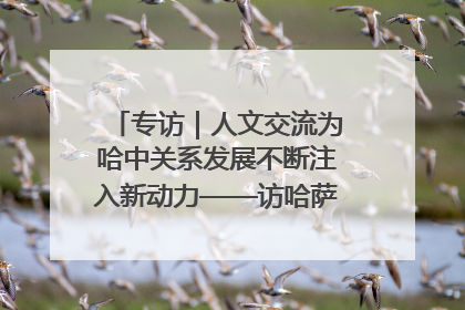 专访｜人文交流为哈中关系发展不断注入新动力——访哈萨克斯坦文化与信息部部长巴拉耶娃