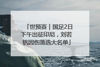 世预赛｜国足2日下午出征印尼，刘若钒因伤落选大名单