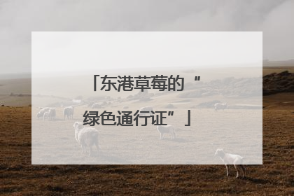 东港草莓的“绿色通行证”