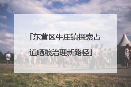 东营区牛庄镇探索占道晒粮治理新路径