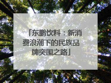 东鹏饮料：新消费浪潮下的民族品牌突围之路