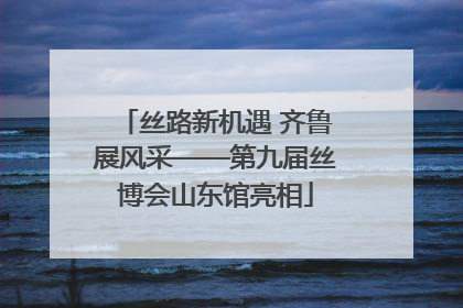 丝路新机遇 齐鲁展风采——第九届丝博会山东馆亮相
