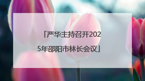 严华主持召开2025年邵阳市林长会议