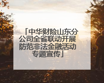 中华财险山东分公司全省联动开展防范非法金融活动专题宣传