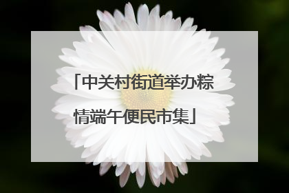 中关村街道举办粽情端午便民市集