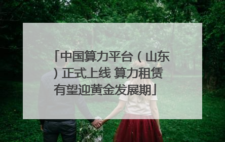 中国算力平台（山东）正式上线 算力租赁有望迎黄金发展期