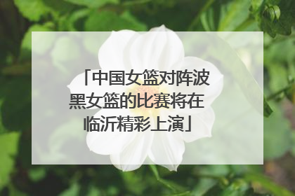 中国女篮对阵波黑女篮的比赛将在临沂精彩上演