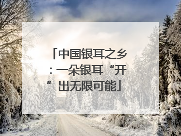 中国银耳之乡：一朵银耳“开”出无限可能