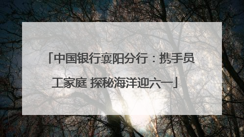 中国银行襄阳分行：携手员工家庭 探秘海洋迎六一