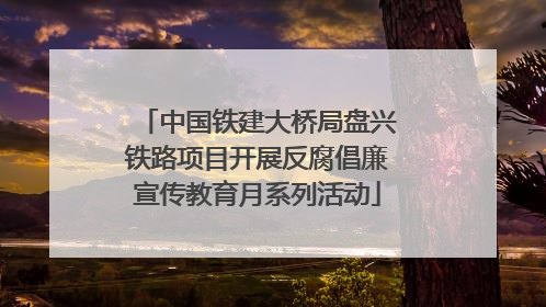 中国铁建大桥局盘兴铁路项目开展反腐倡廉宣传教育月系列活动