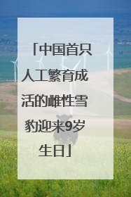 中国首只人工繁育成活的雌性雪豹迎来9岁生日