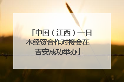 中国（江西）—日本经贸合作对接会在吉安成功举办