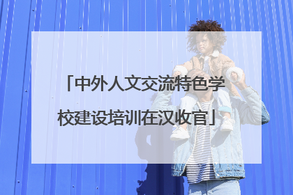 中外人文交流特色学校建设培训在汉收官