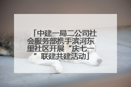 中建一局二公司社会服务部携手滨河东里社区开展“庆七一”联建共建活动