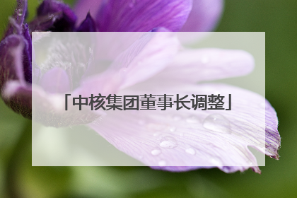 中核集团董事长调整