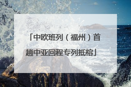 中欧班列（福州）首趟中亚回程专列抵榕