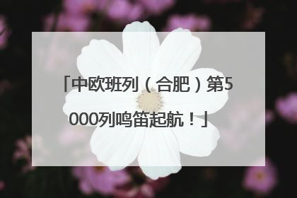 中欧班列（合肥）第5000列鸣笛起航！
