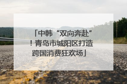 中韩“双向奔赴”！青岛市城阳区打造跨国消费狂欢场