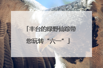 丰台的绿野仙踪带您玩转“六一”