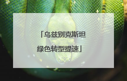 乌兹别克斯坦绿色转型提速