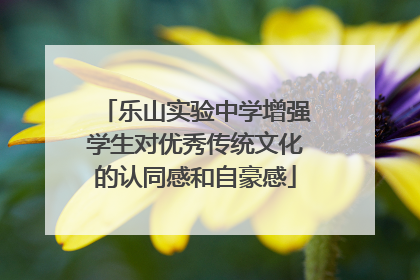 乐山实验中学增强学生对优秀传统文化的认同感和自豪感