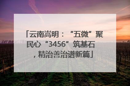 云南嵩明：“五微”聚民心“3456”筑基石，精治善治谱新篇