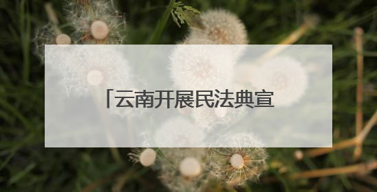 云南开展民法典宣传赋能边疆高质量发展 法治种子在云岭大地生根发芽