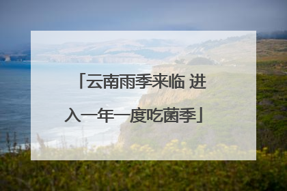 云南雨季来临 进入一年一度吃菌季