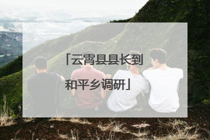 云霄县县长到和平乡调研