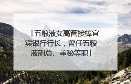 五粮液女高管接棒宜宾银行行长，曾任五粮液副总、董秘等职
