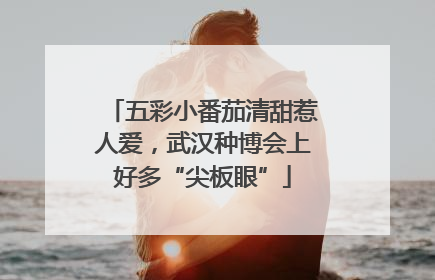 五彩小番茄清甜惹人爱，武汉种博会上好多“尖板眼”