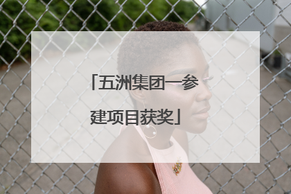 五洲集团一参建项目获奖