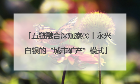 五链融合深观察⑤丨永兴白银的“城市矿产”模式