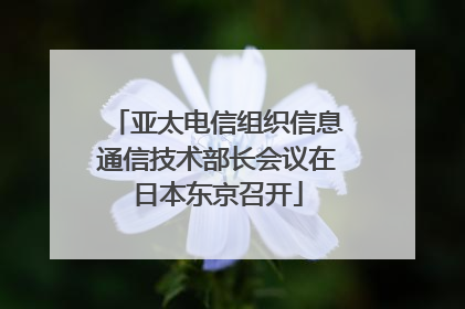 亚太电信组织信息通信技术部长会议在日本东京召开
