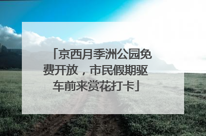 京西月季洲公园免费开放，市民假期驱车前来赏花打卡