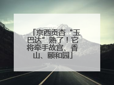 京西贡杏“玉巴达”熟了！它将牵手故宫、香山、颐和园